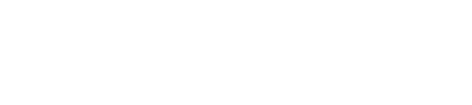 OPPORTUNITY IT SOLUTIONS